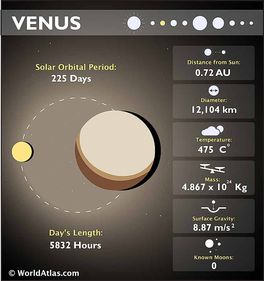venus infographic