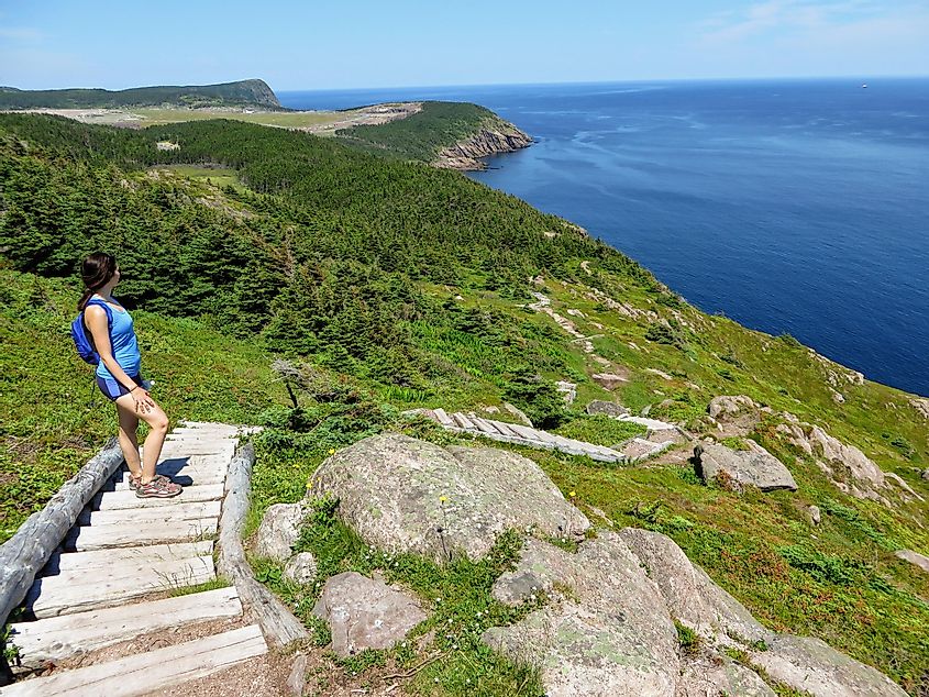 the east coast trail off the coast of Newfoundland and Labrador, Canada