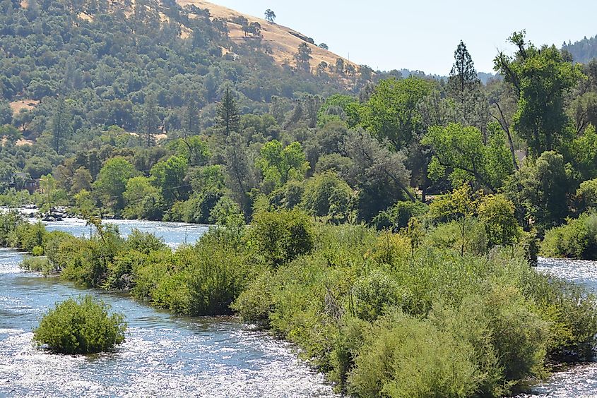 A view on shimmering water of South Fork American River in Summer at Marshall Gold Discovery State Historical Park, Coloma, California, USA.