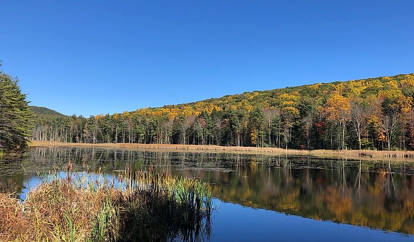 Fall Foliage at Fountain Pond Park in The Berkshire Mountains, Great Barrington, Massachusetts.