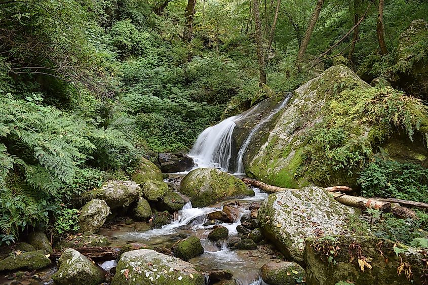 Great Himalayan National Park