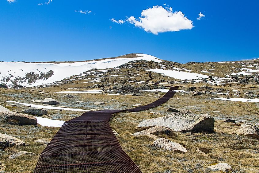 The walking track to Mount Kosciuszko in the Snowy Mountains, New South Wales, Australia. Kosciuszko National Park.