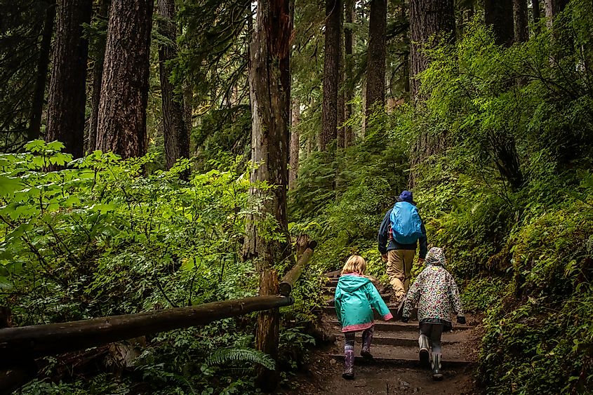 A dad and his daughters hike to Sol Duc Falls in the Hoh Rainforest in Olympic National Park in the state of Washington.