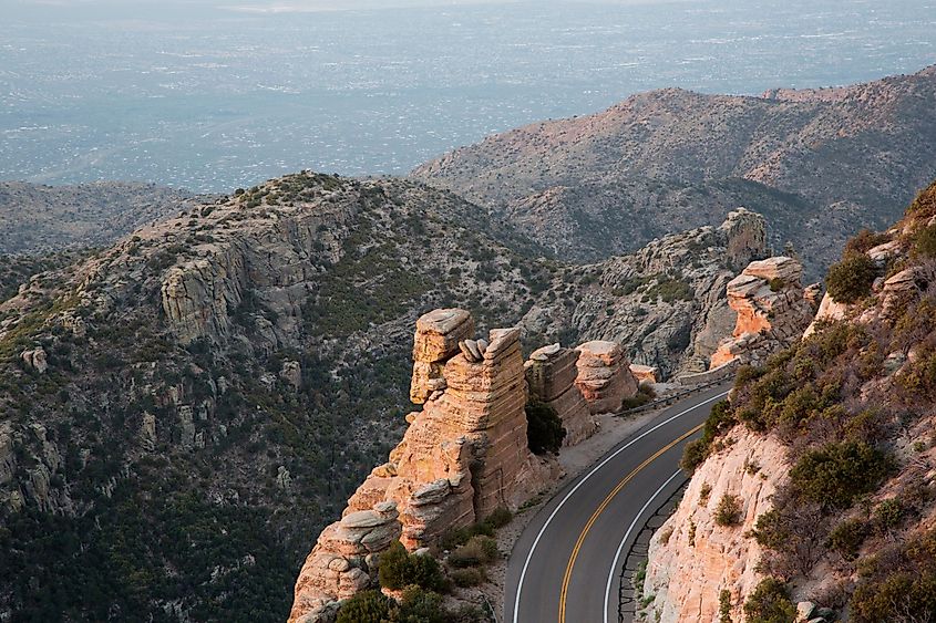 Drive up Catalina Highway on Mount Lemmon 