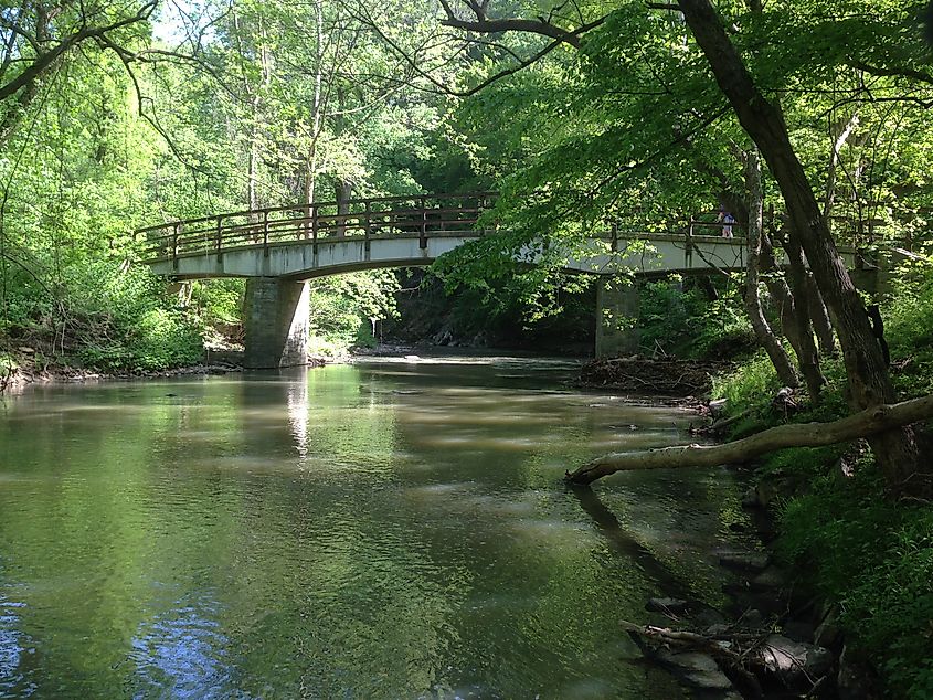 Rock Creek in Washington, D.C.