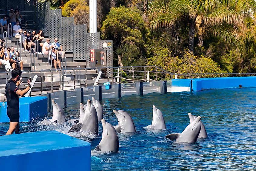 L'Oceanogràfic in Valencia, Spain. Editorial credit: Tanya Keisha / Shutterstock.com