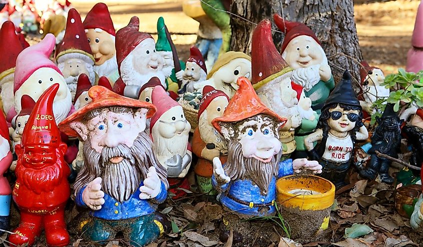 Gnomesville is a unique, quirky tourist attraction located at Wellington Mill, Australia.