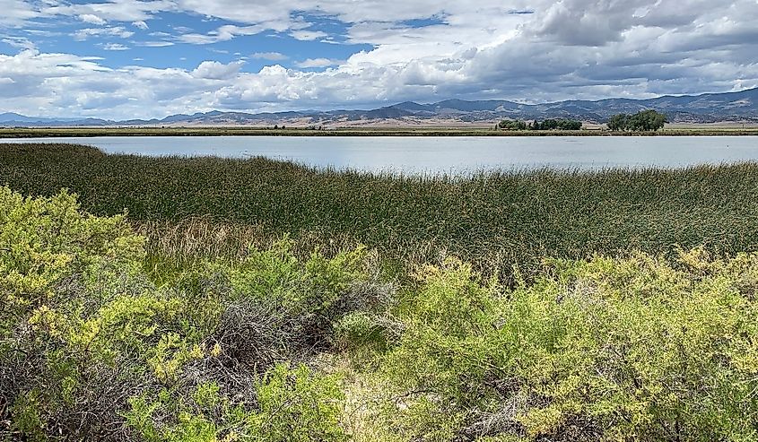 View of lake in Russell Lakes State Wildlife Area