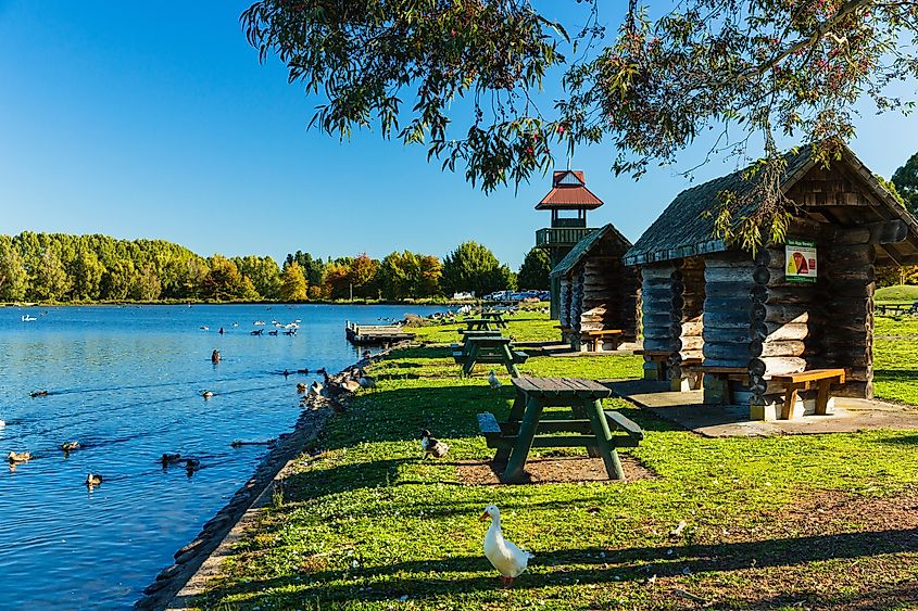 Henley Lake Park in Masterton.