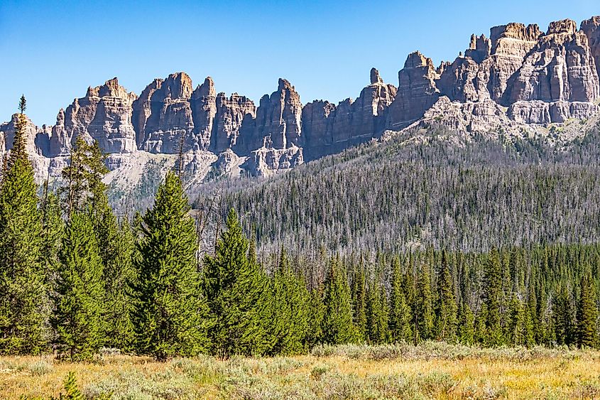  Shoshone National Forest with massive rock formations in the background