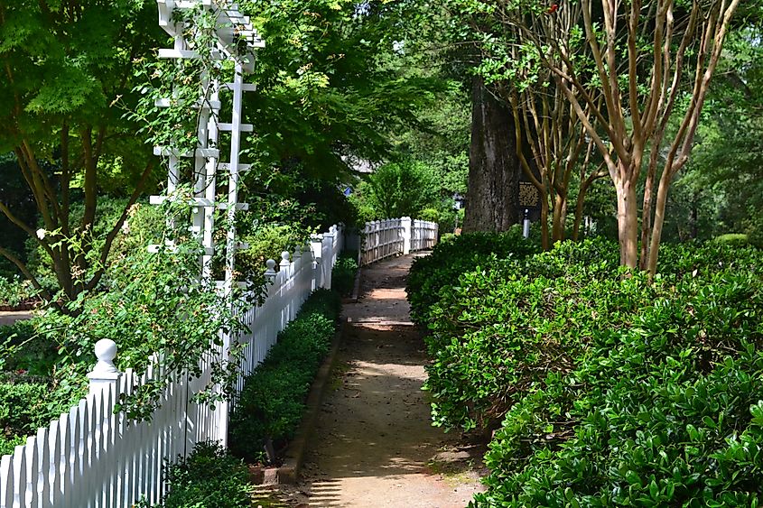 Sidewalk through the trees in Pinehurst, North Carolina.