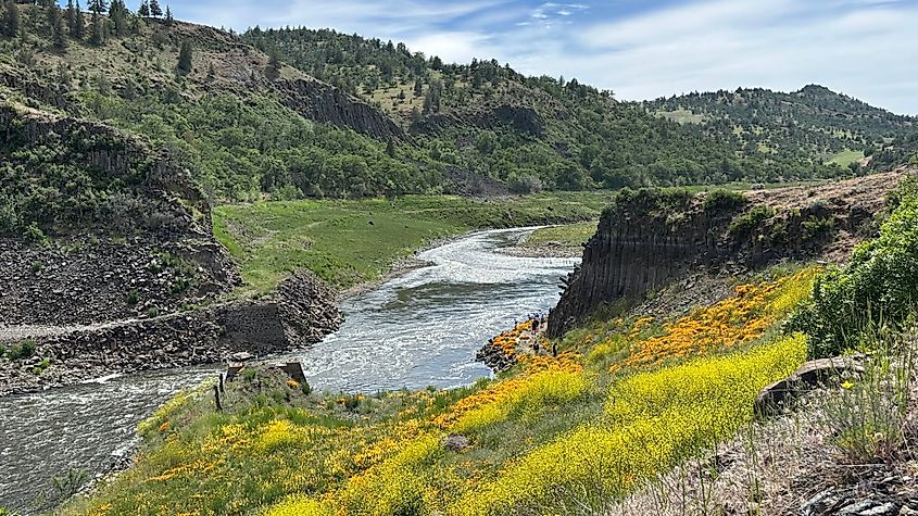 Klamath River at Iron Gate.