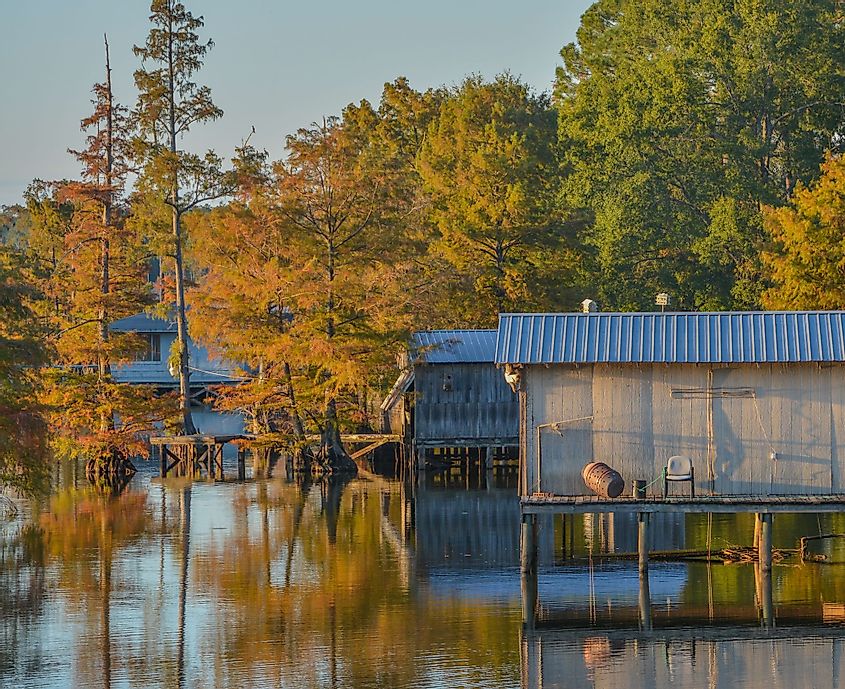 A boathouse among Bald Cypress Trees along the shoreline of Lake D"Arbonne in Farmerville, Louisiana. 