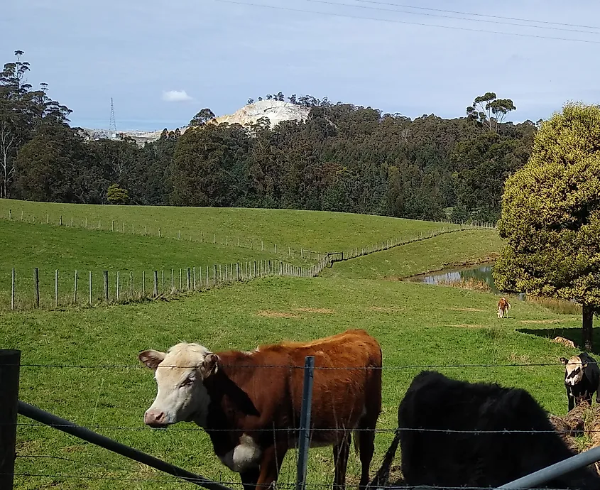 Farm at Nowhere Else, Tasmania