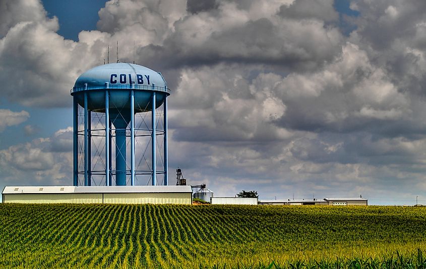 Fields near Colby, Kansas
