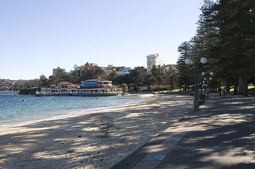 Manly, New South Wales