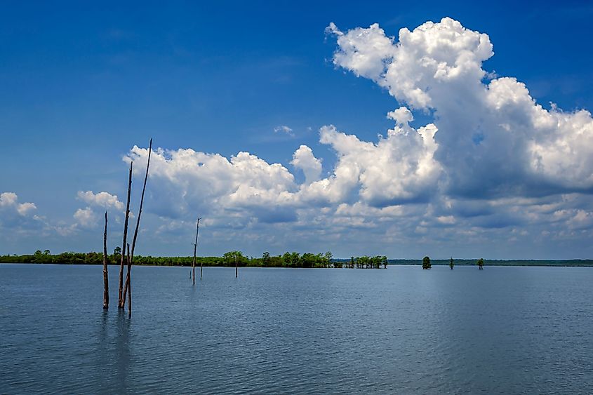 Sardis Lake at Hurricane Landing Campground near Oxford, Mississippi