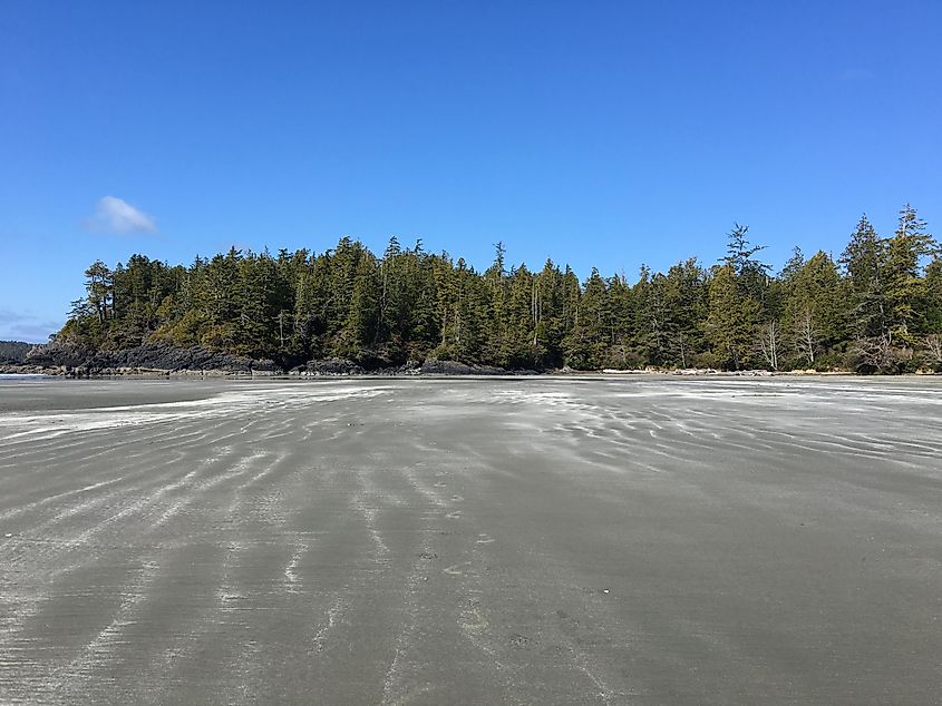 A wide, smooth beach on the wild Pacific Coast.