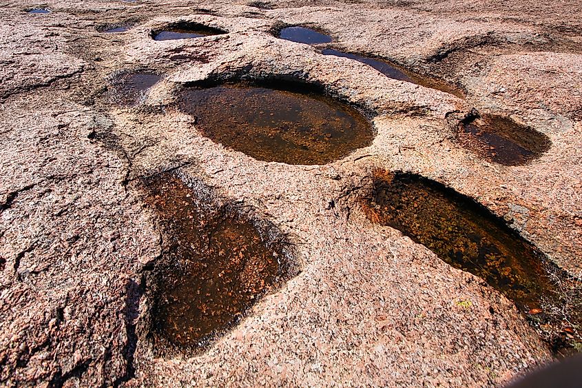 Vernal pools, Enchanted Rock State Natural Area, Texas