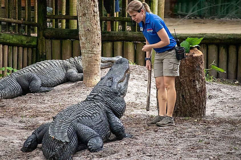 St. Augustine Alligator Farm Zoological Park