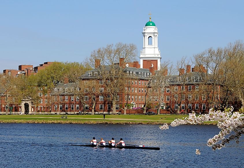 People rowing, running, and walking around Harvard University in spring. 