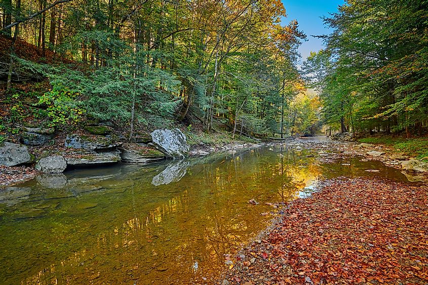 Scenic forested landscape of the Daniel Boone National Forest in fall.