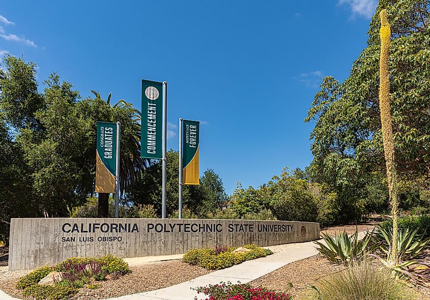 California Polytechnic State University, via Claudine Van Massenhove / Shutterstock.com