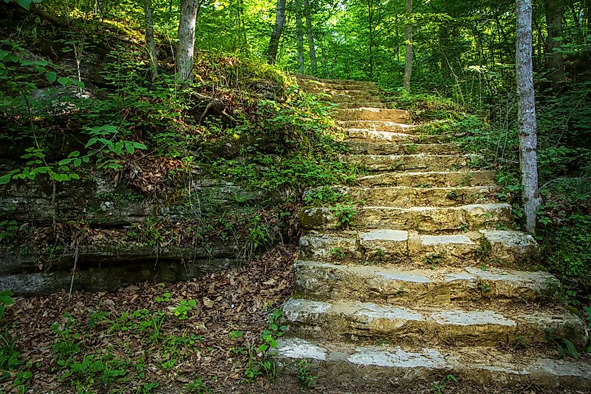 A forested stairway in Carter Caves State Park in Olive Hill, Kentucky.