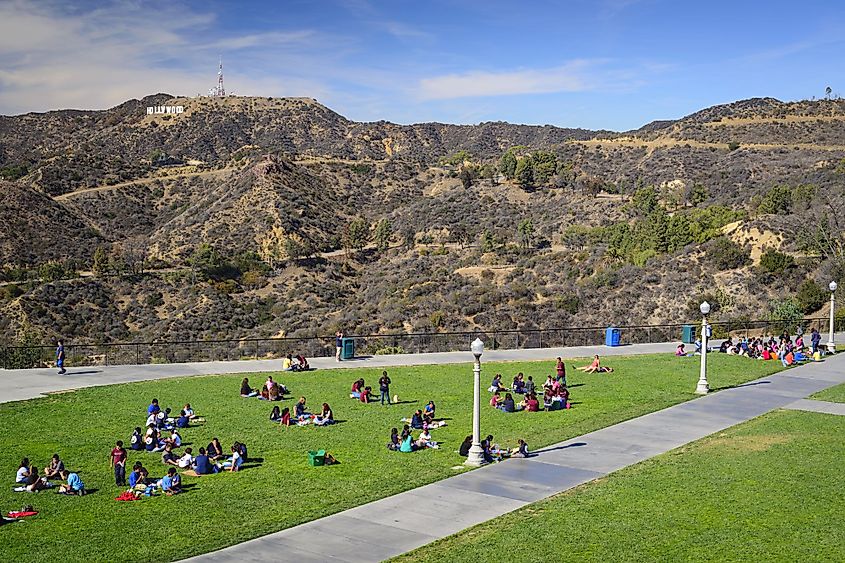 Students picnic at Griffith Park