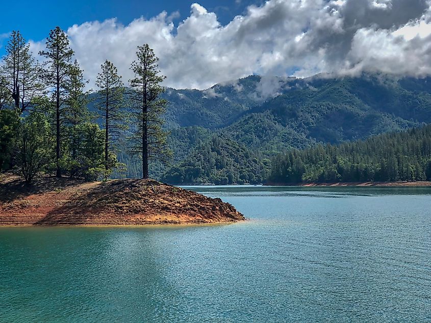 Landscape view of Lake Shasta