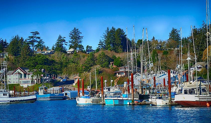 Yaquina bay harbor marina in Newport, Oregon.
