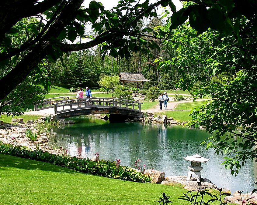Japanese Garden near Devon