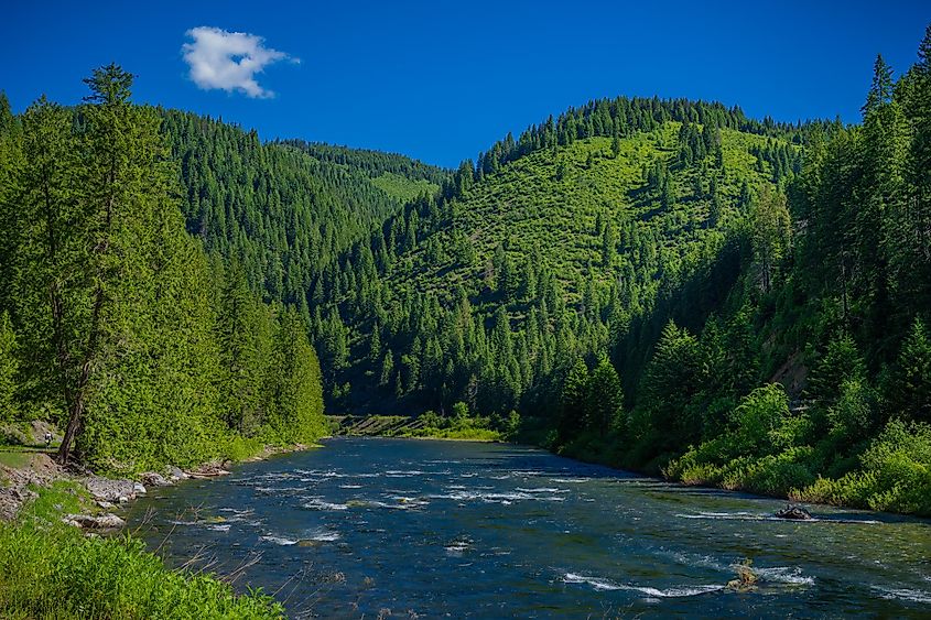 St. Joe River Outside St. Maries in Idaho