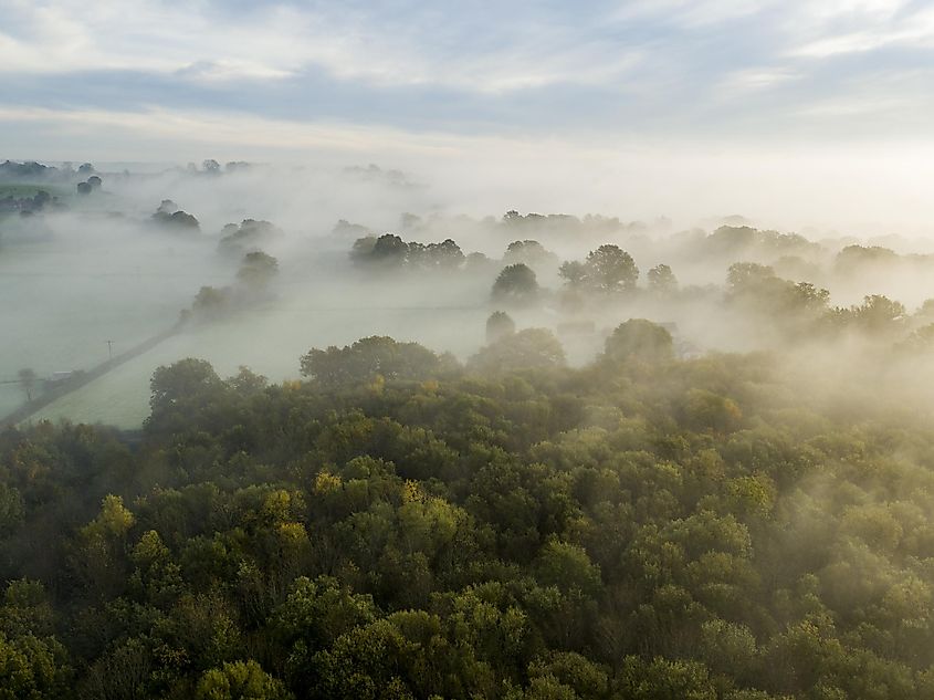 Dering woods, england