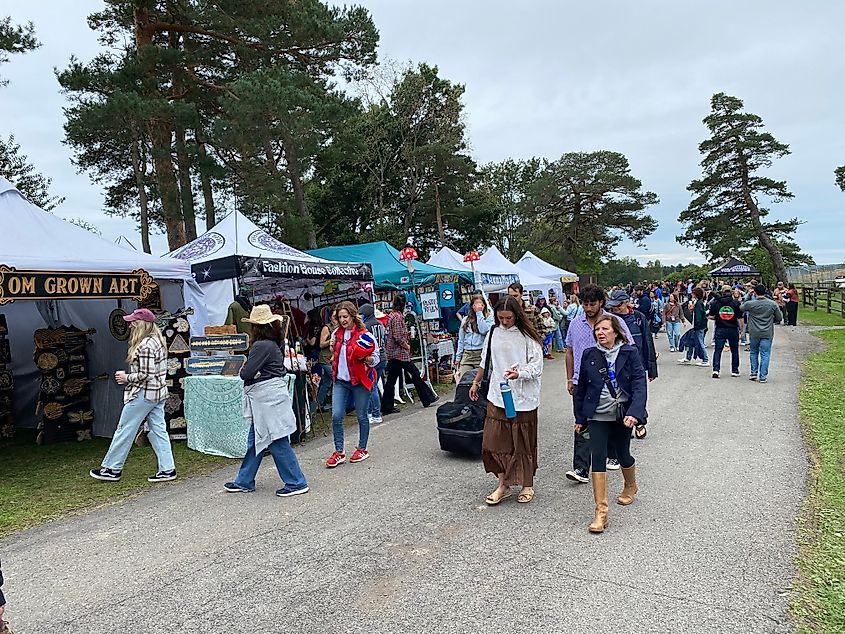 Crowds pass a row of pop up tents filled with artisan vendors.