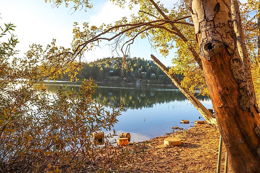 a stunning autumn landscape with trees reflecting off vast still blue lake waters with majestic mountain ranges at sunset at Lake Gregory in Crestline California 