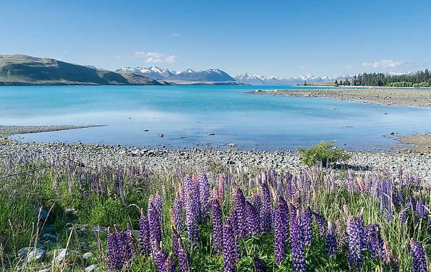 Lake Tekapo, New Zealand