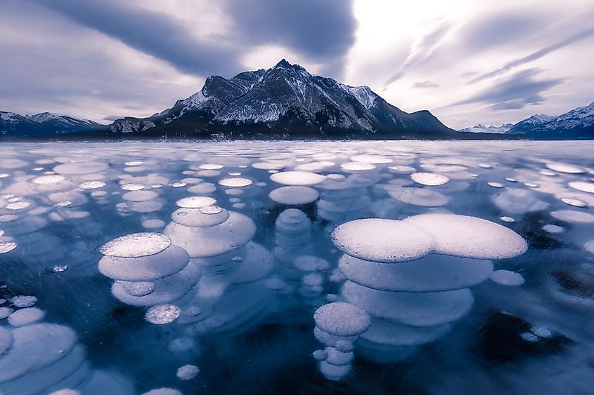 Abraham lake bubbles