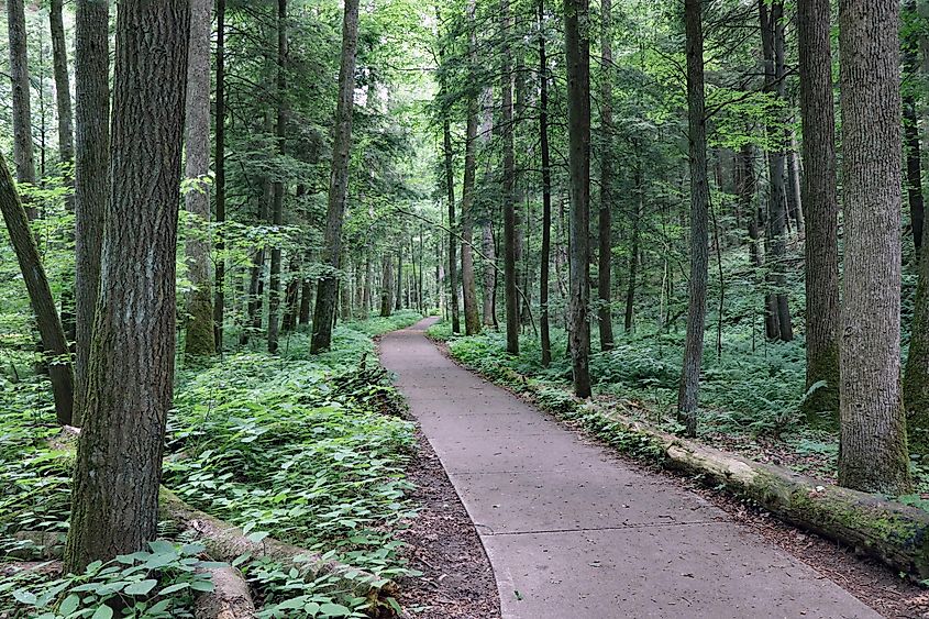 Conkles Hollow hiking trail in Hocking Hills State Park, Ohio during spring time