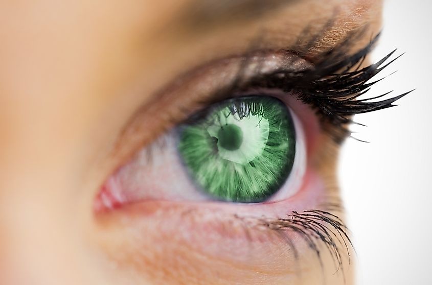 Only 2% Of People Have Green Eyes