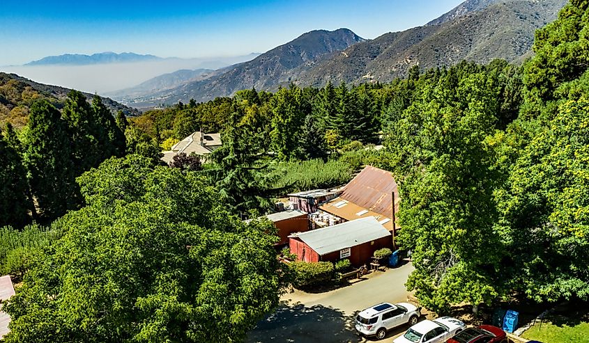 Aerial view of Oak Glen nestled between the Little San Bernardino Mountains and the San Bernardino Mountains with several apple orchards during the start of Fall just before the changing of the colors