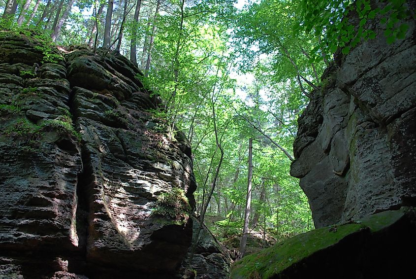Parfrey's Glen
