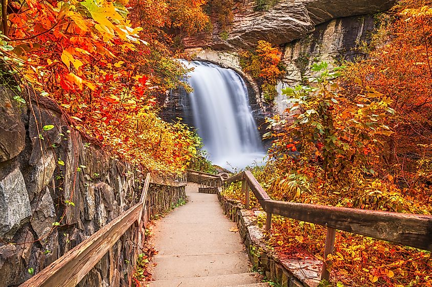 Pisgah National Forest