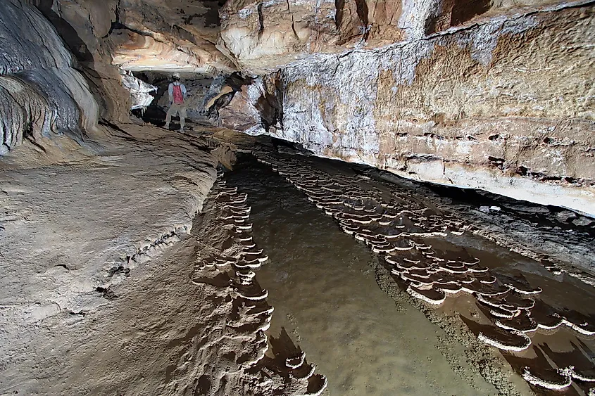 Fisher Ridge Cave, Hart County, Kentucky, via Alan Cressler on Flickr