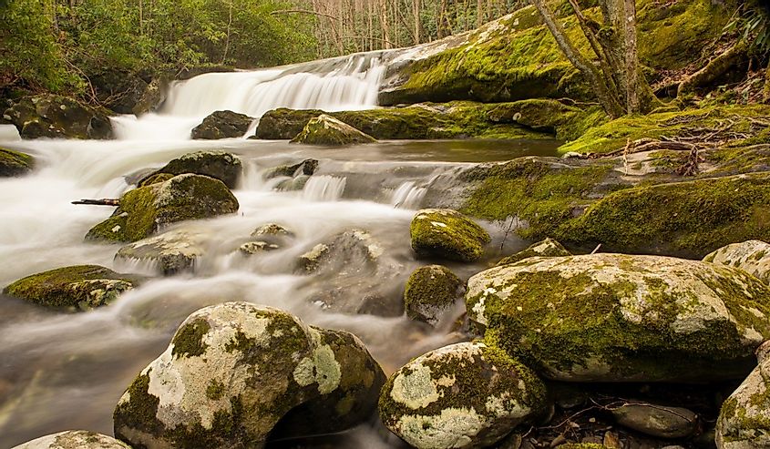 Lynn Camp Prong Cascades in Great Smoky Mountains National Park