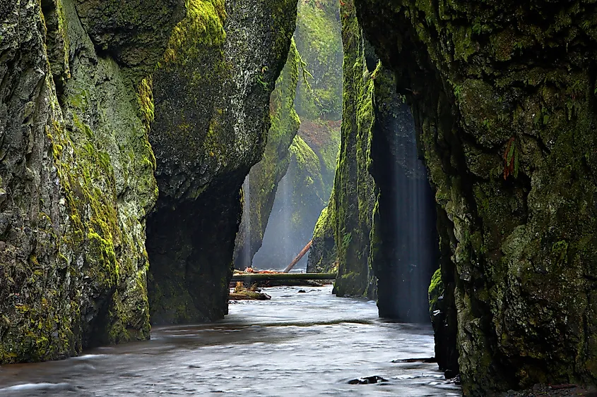 The Gorgeous Oneonta Gorge, Oregon - WorldAtlas