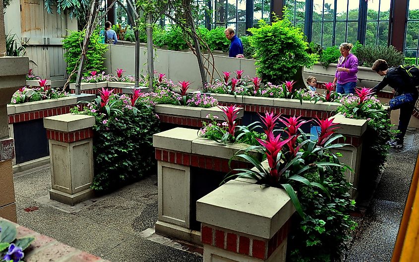 Pink Petunias and red Bromeliads add color to the imaginative Children's Garden at Longwood Gardens in Kennett Square, Pennsylvania