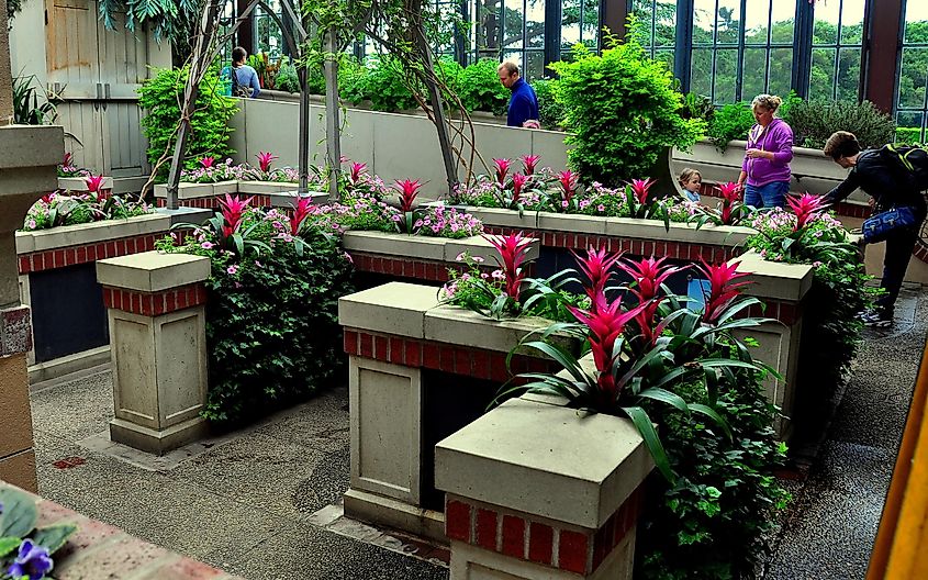 Pink Petunias and red Bromeliads add colour to the imaginative Children's Garden at Longwood Gardens in Kennett Square, Pennsylvania, via LEE SNIDER PHOTO IMAGES / Shutterstock.com