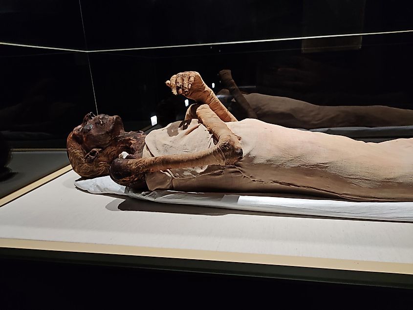 The mummy of Ramses II from the Cairo Museum of Egyptian Civilization