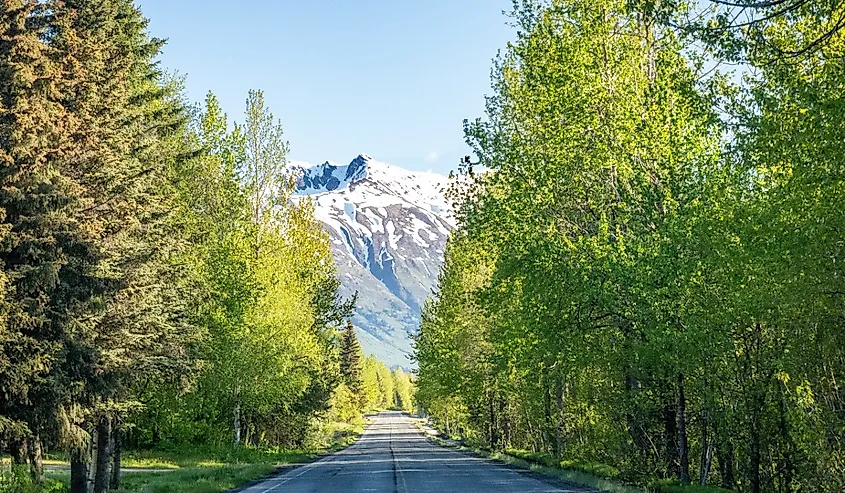 Seward Highway runs through the scenic Kenai Peninsula, Chugach National Forest, Turnagain Arm, and Kenai Mountains.
